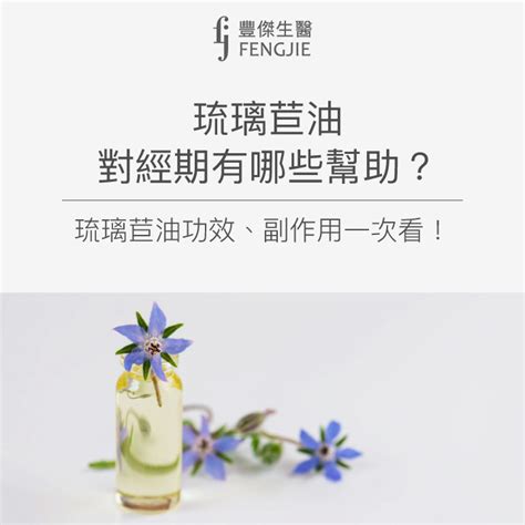 黃琉璃功效|琉璃苣油的5種功效與副作用（6點使用禁忌請留意）